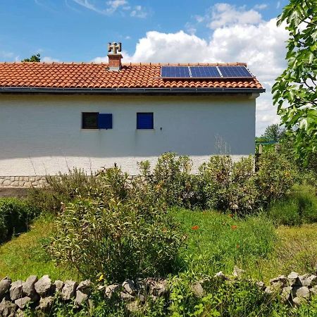 실로 Ecohouse Oliveglia 빌라 외부 사진