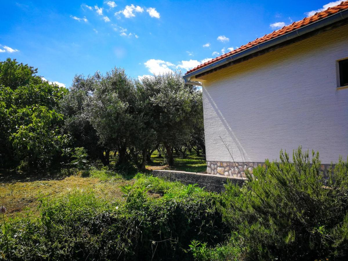 실로 Ecohouse Oliveglia 빌라 외부 사진
